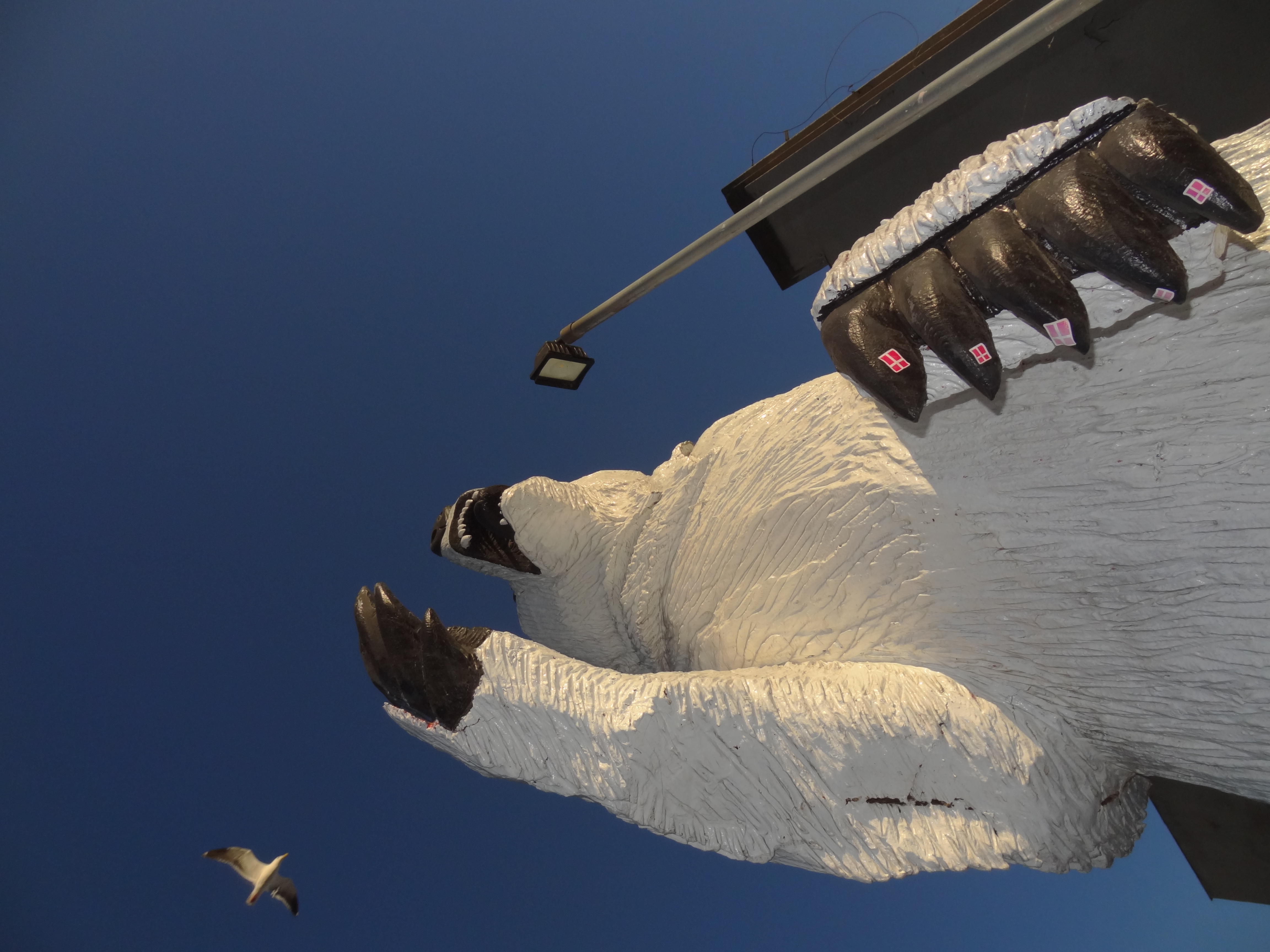 Bear